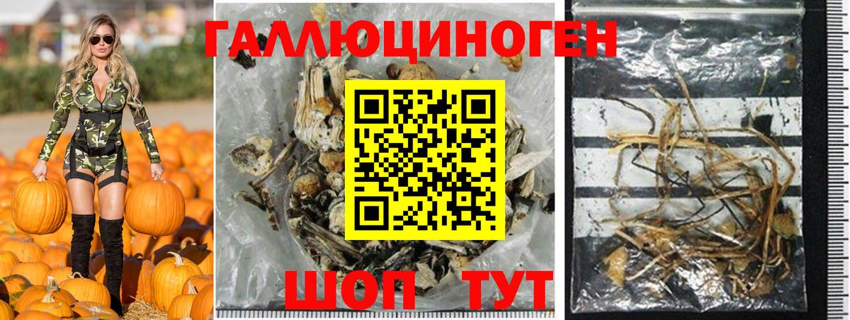 Галлюциногенные грибы Cubensis Стрежевой